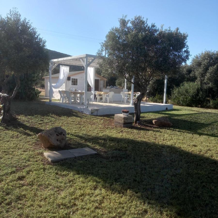 B&B Gli Ulivi SantʼAnna Arresi Exterior foto